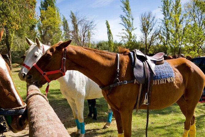 Half-Day Extreme Adventure Eco Park Tour in Puerto Morelos  - Cancun - Common questions