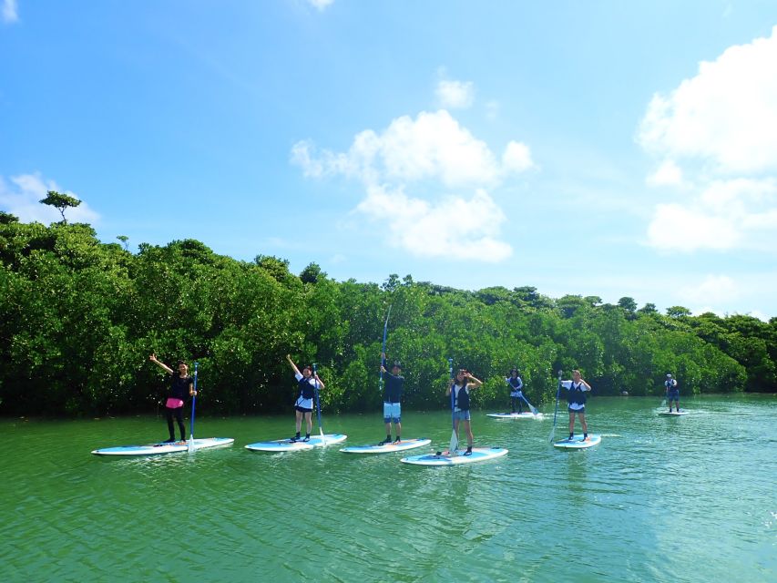 Ishigaki Island: 2-Hour Miyara River Kayaking Tour - Value for Money