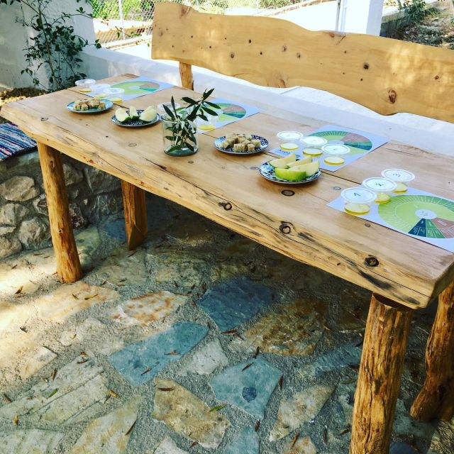 Olive Grove Tour & Olive Oil Tasting and Lunch in Messinia - Meeting Point