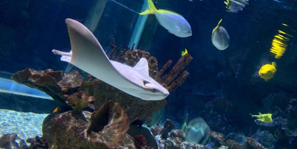 SEA LIFE Paris: Admission Ticket - Planning Your SEA LIFE Visit