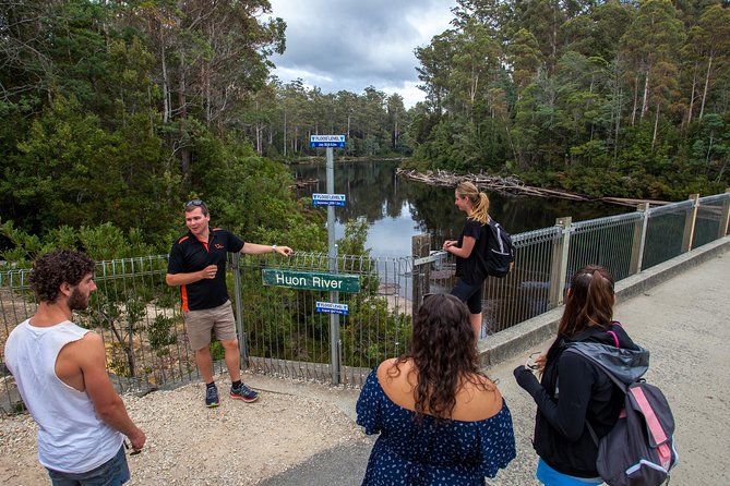 Tahune Airwalk & Hastings Cave Active Day Tour From Hobart - Review and Rating Overview