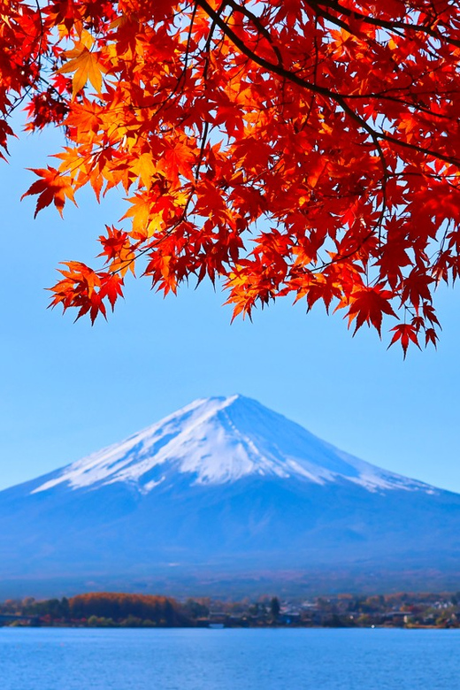 Tokyo: Mount Fuji and Lake Kawaguchi Scenic 1-Day Bus Tour - Traditional Village Exploration