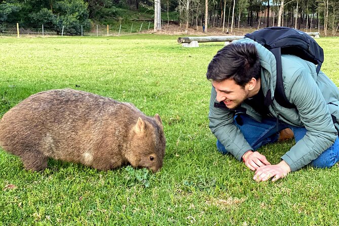 Wild Wombat and Kangaroo Day Tour From Sydney - Scenic Countryside Exploration