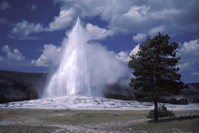 Yellowstone Lower Loop Full-Day Tour - Final Words