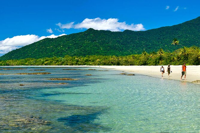 6-Day Best of Cairns Including the Great Barrier Reef, Kuranda and the Daintree Rainforest - What to Expect and Reviews