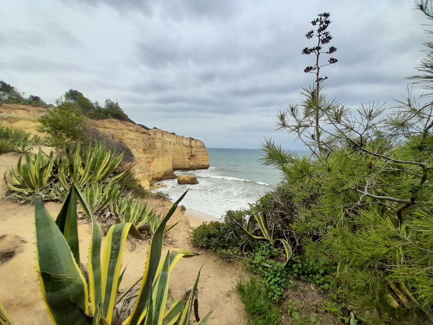 Albufeira: Algarve Cliffs and The Chapel of Bones Tour - Final Words