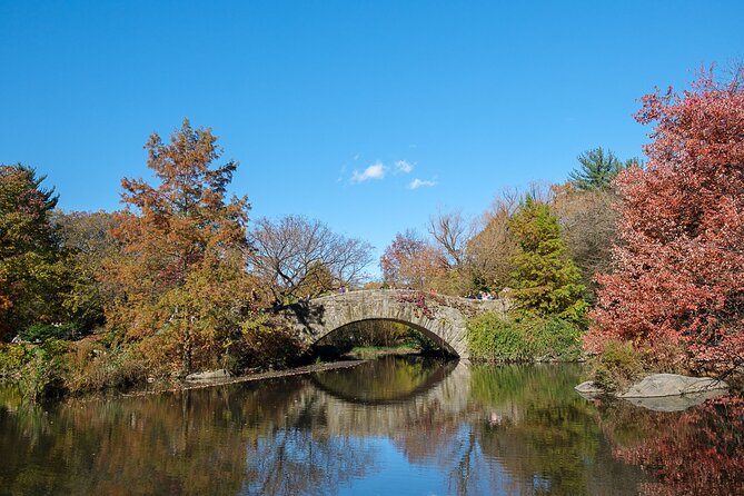 Central Park Private Pedicab Tour (60 Mins) - Reviews and Ratings