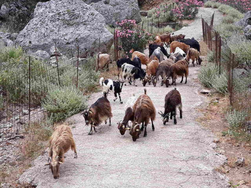 Chania: Balos and Falassarna Tour With Loungers and Lunch - General Details and Recommendations