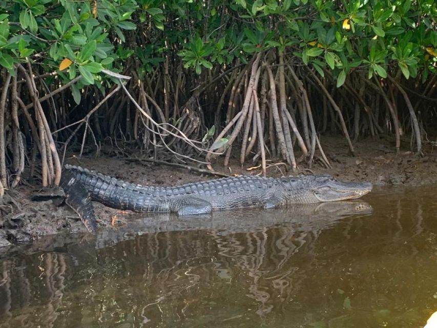 Everglades Kayak Eco Tour - Final Words