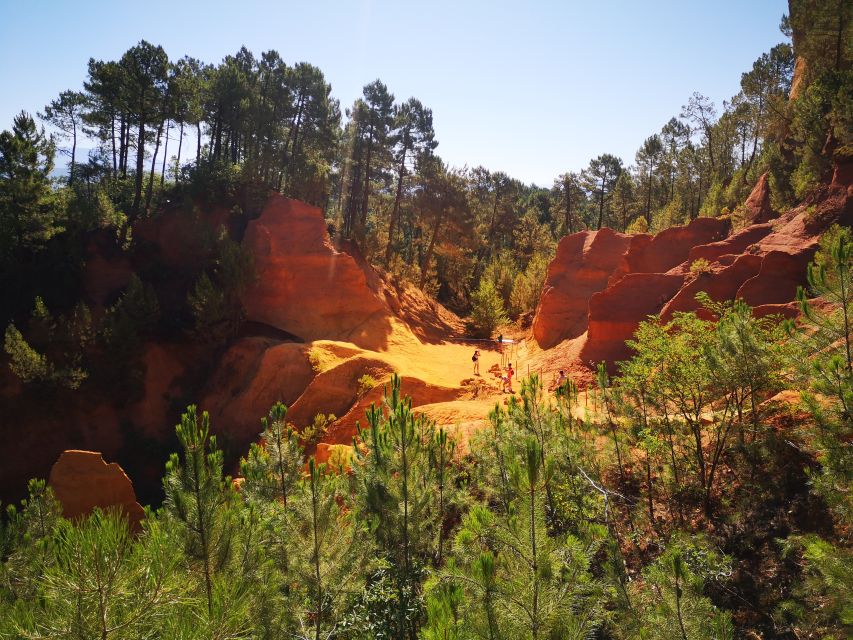 From Aix En Provence: Luberon Villages Full-Day Guided Tour - Testimonials