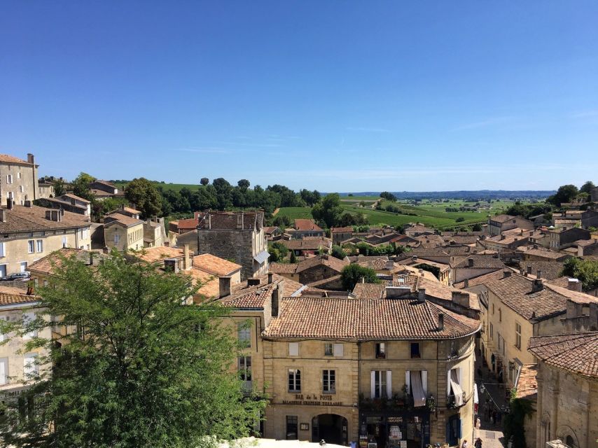 From Bordeaux: Saint-Emilion Guided Wine Tasting Tour - Final Words