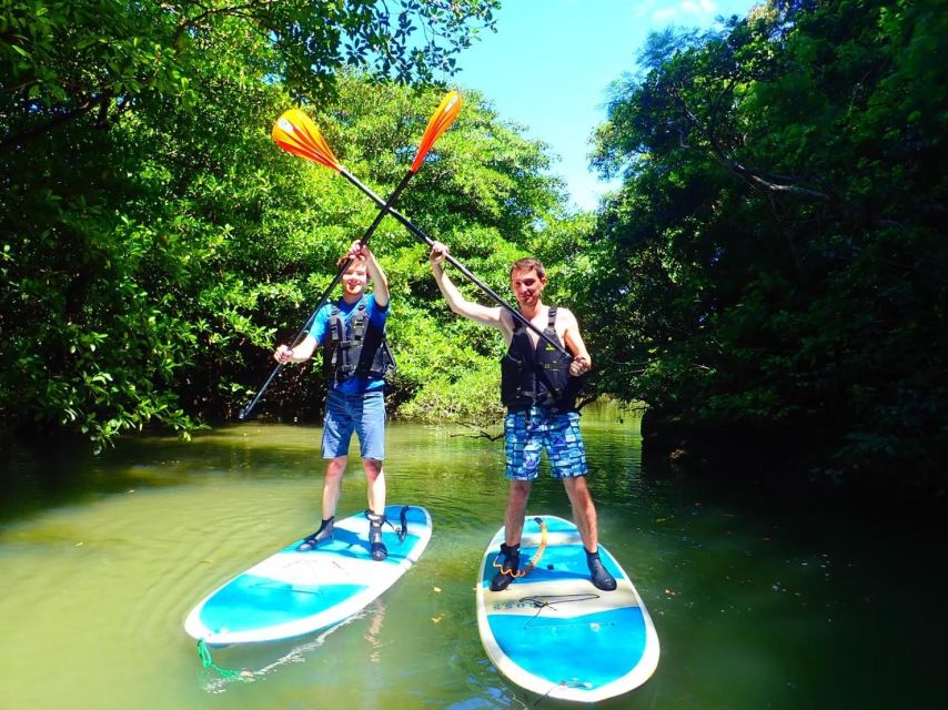 Ishigaki Island: 2-Hour Miyara River Kayaking Tour - Participant Guidelines