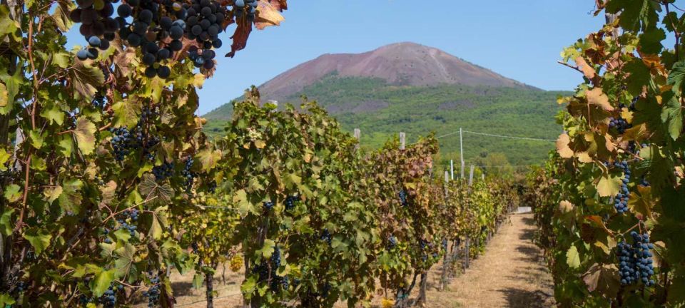 Pompei & Vesuvius Private Day With Stop Lunch in the Winery - Common questions