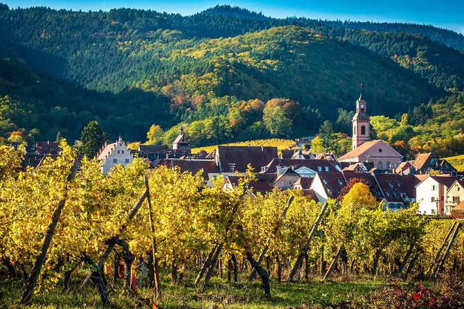 Private Tour: Picturesque Alsatian Villages & Wine Tasting With a Local Expert - Support and Assistance