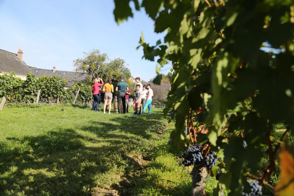 Afternoon- Wine Tour in Touraine From Tours or Amboise - Common questions