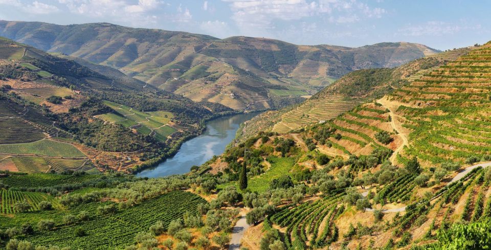 From Porto: Douro Tour Pinhão/Régua Full Day All Included - Final Words