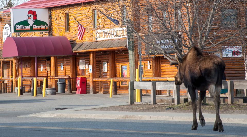 Anchorage: Spenard Area True Crime Walking Tour - Tour Overview