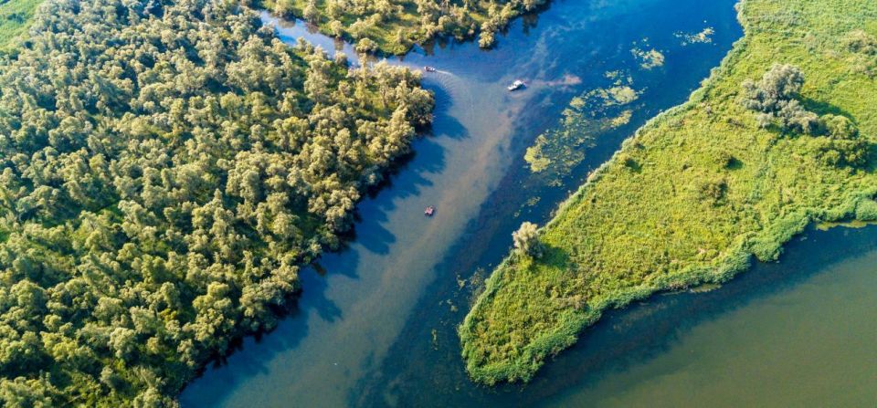 Biesbosch: Boat Cruise Through National Park - Key Points