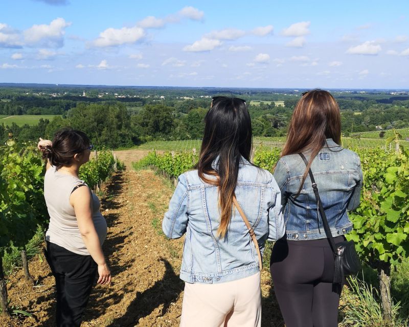 Bordeaux: Vineyard off the Beaten Track With Wine Tasting - Key Points