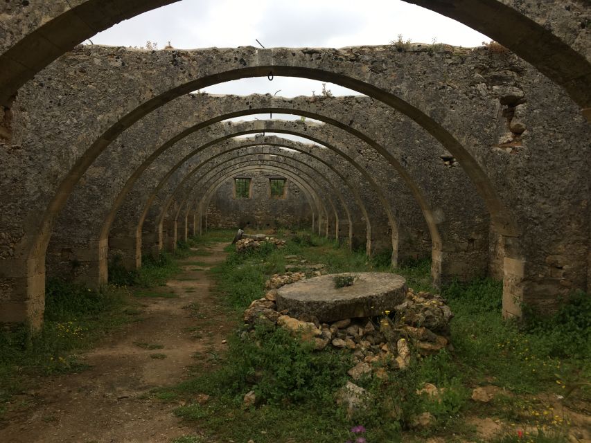 Chania Olive Oil Tour: Olive Oil Tasting & Bio Fruits Tour - Key Points