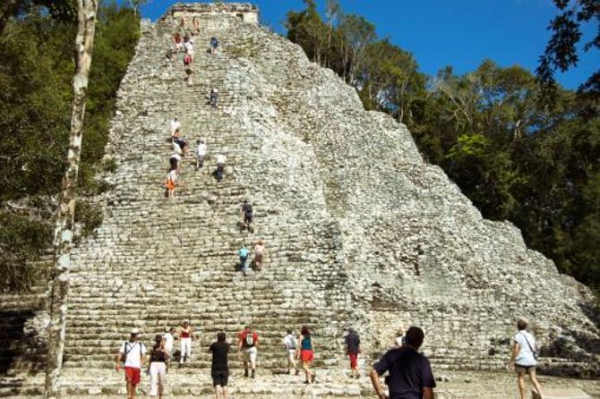 Coba Guided Tour Plus Sea Turtle Snorkeling Adventure and Beachside Lunch - Key Points