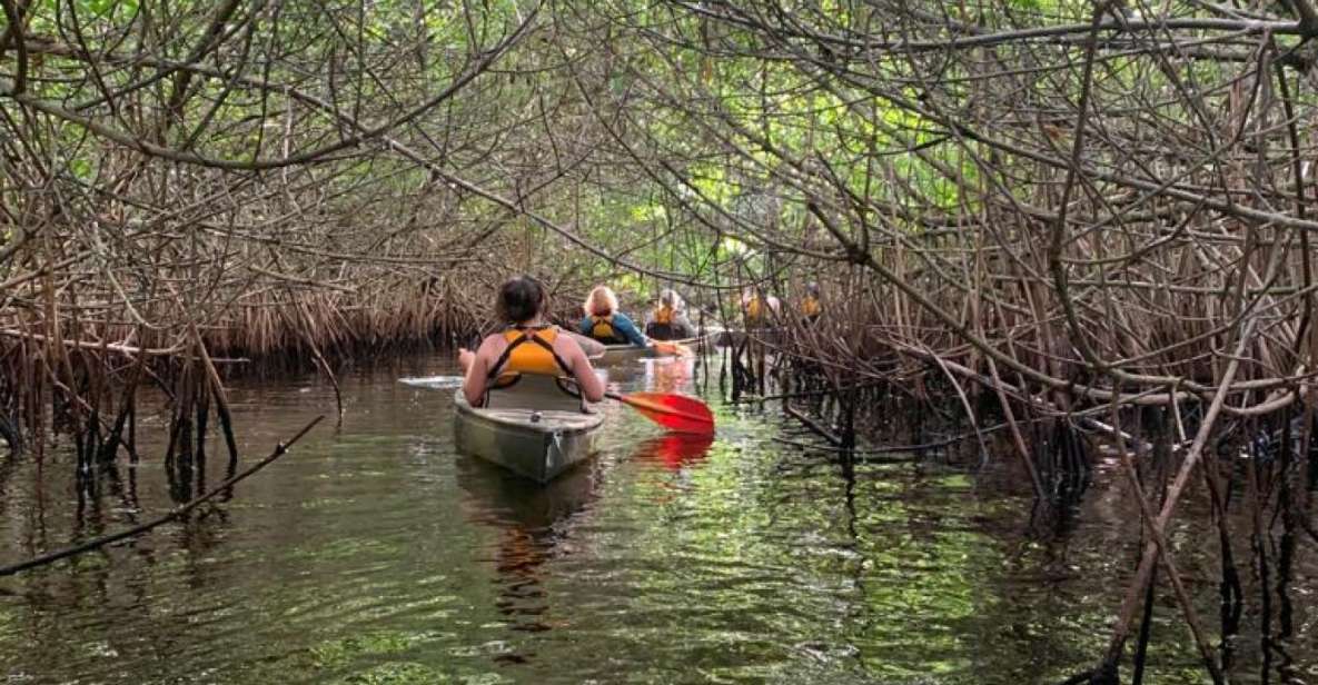 Everglades Kayak Eco Tour - Key Points