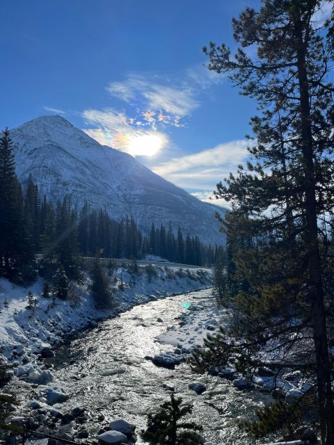 From Calgary: Kootenay National Park Day Trip - Key Points