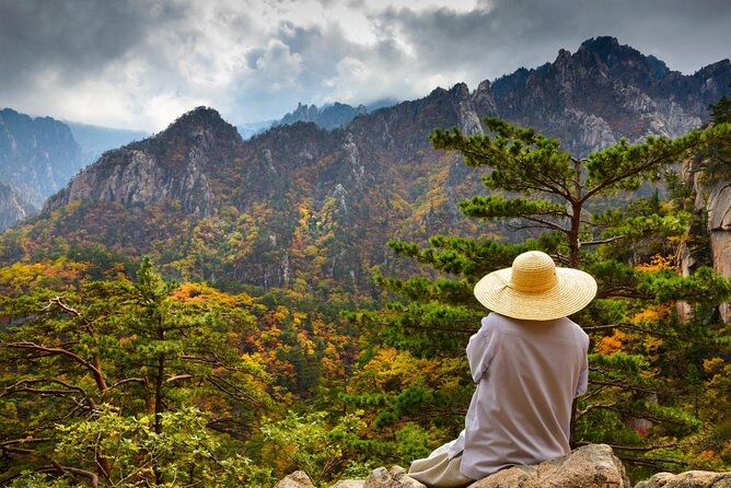 Mt. Seorak & The Tallest Ginko Tree at Yongmunsa - Key Points