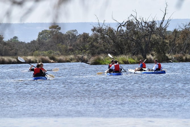 Perth Kayak Tour – Canning River Wetlands