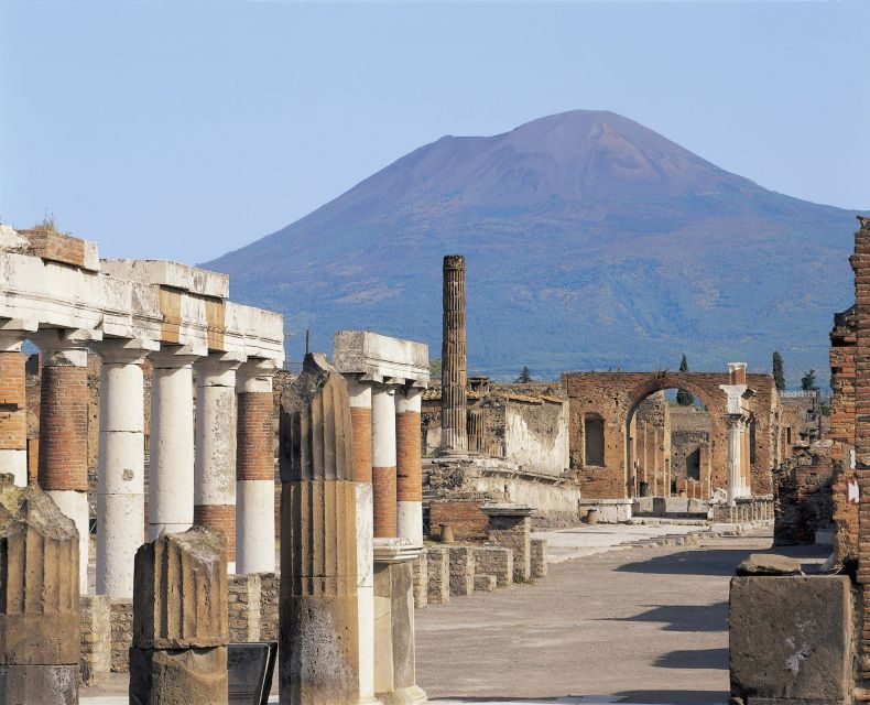 Pompei & Vesuvius Private Day With Stop Lunch in the Winery - Key Points