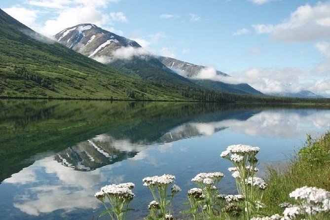 Private Tour: Anchorage 3-Hour Tour - Tour Highlights