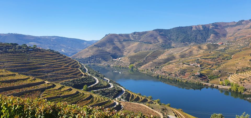 Private Tour to Douro Valley 2 Wine Tastings, Lunch and Boat - Key Points