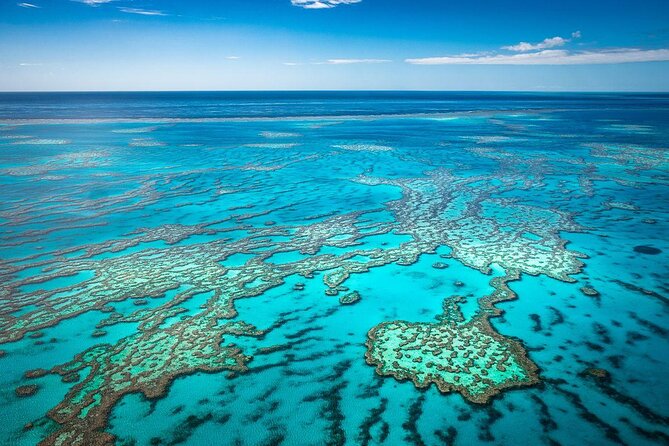 Quicksilver Outer Great Barrier Reef Snorkel Cruise From Palm Cove - Key Points