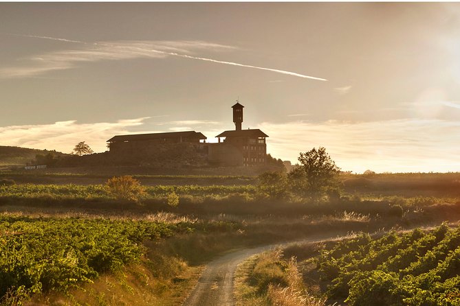 Rioja Wine Tour: 2 Wineries Visit With Tasting From San Sebastian