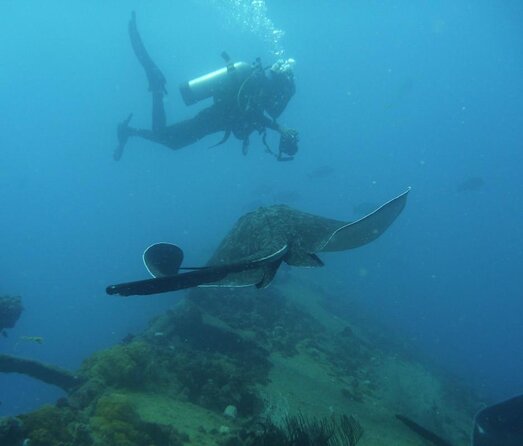 Scuba Dive the S.S. Yongala Wreck on the Great Barrier Reef. - Key Points