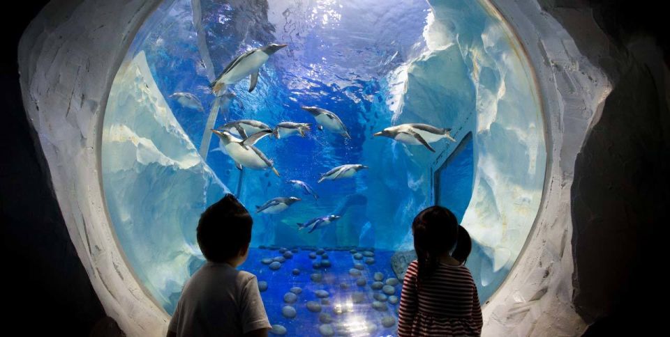 SEA LIFE Paris: Admission Ticket - Key Points