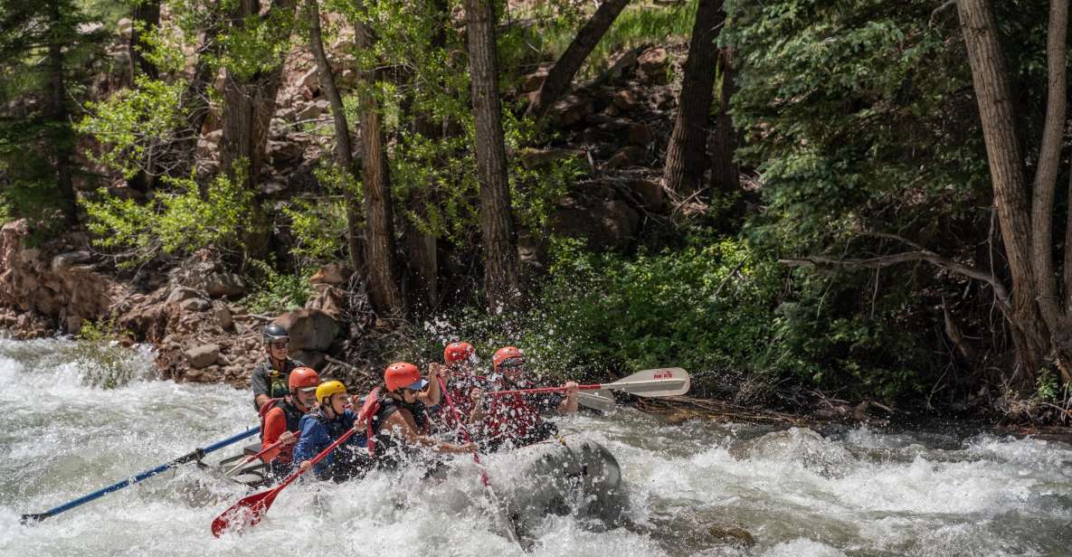 Telluride Whitewater Rafting - Morning Half Day - Activity Description