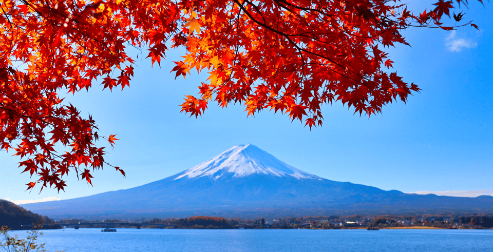 Tokyo: Mount Fuji and Lake Kawaguchi Scenic 1-Day Bus Tour - Key Points