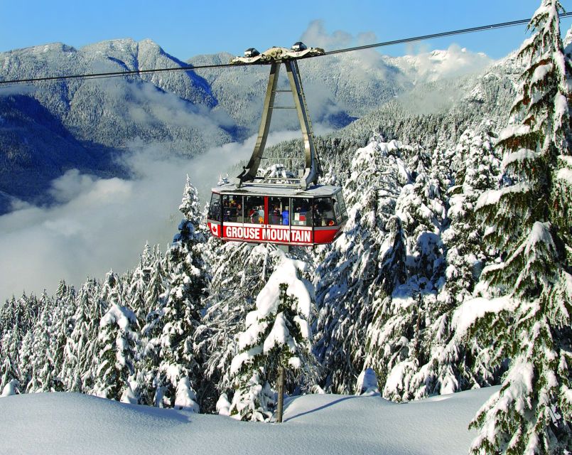 Vancouver: Grouse Mountain Admission Ticket - Key Points