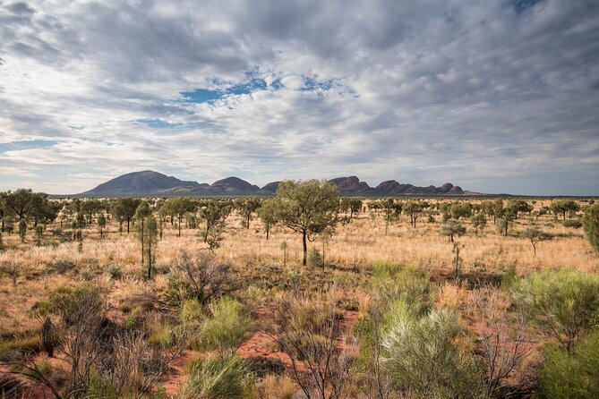 3-Day Uluru & Kings Canyon Express From Alice Springs - Tour Details and Inclusions