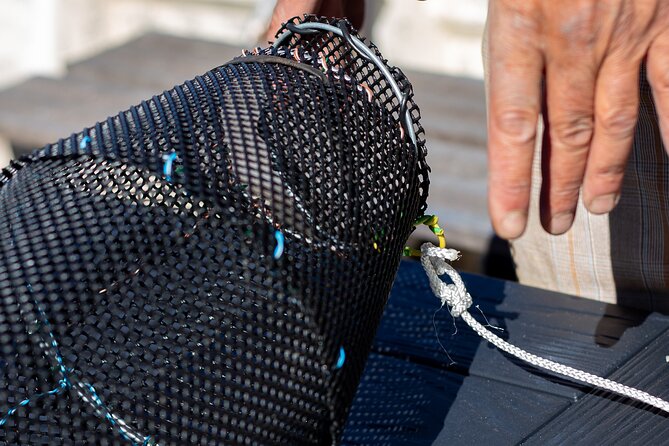 Accompany the Last Professional Fisherman of Bordeaux (On the Garonne)