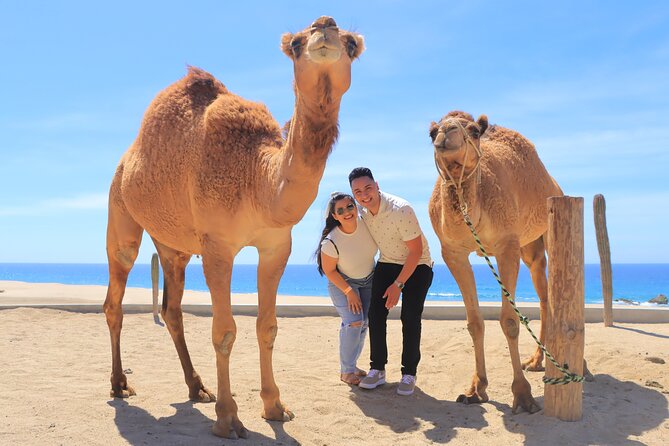 Beach ATV & Camel Ride COMBO in Cabo by Cactus Tours Park - Exciting Off-Road Adventure Experience