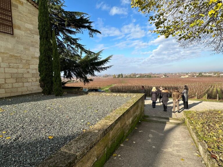 Bordeaux: Saint-Émilion Wine Tour in a Small Group