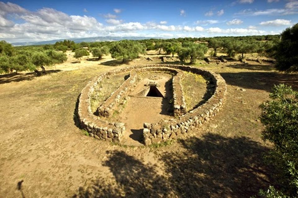 Cagliari: Full-Day Tour to Well Temple & Cabras Museum - Tour Features and Inclusions