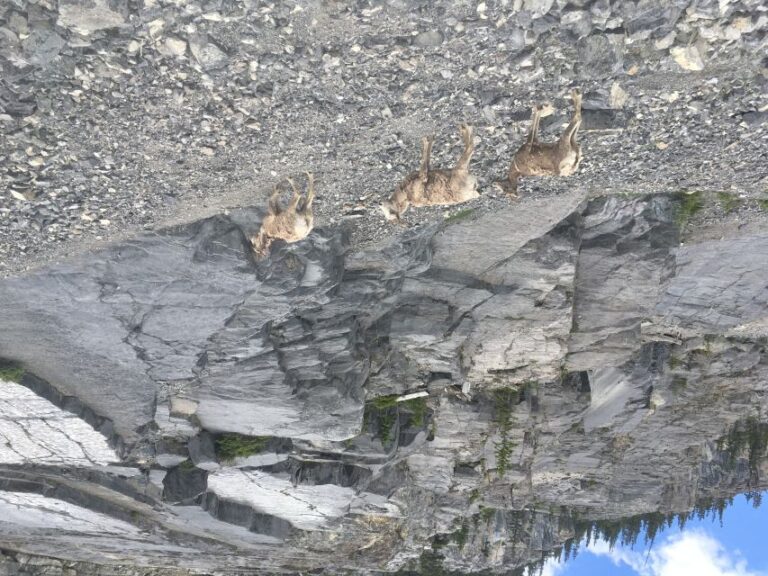 Canmore: Ha Ling Peak & Summit