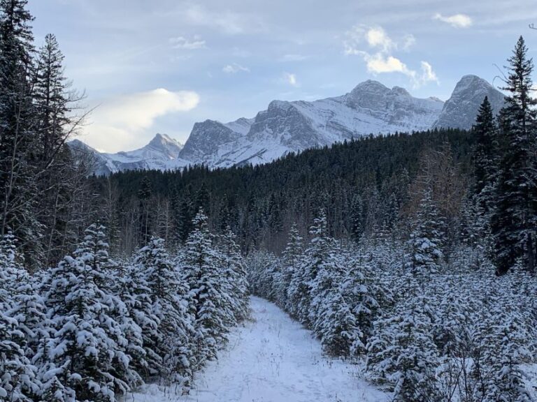 Canmore: Lost Towns and Untold Stories – Hiking Tour 3hrs