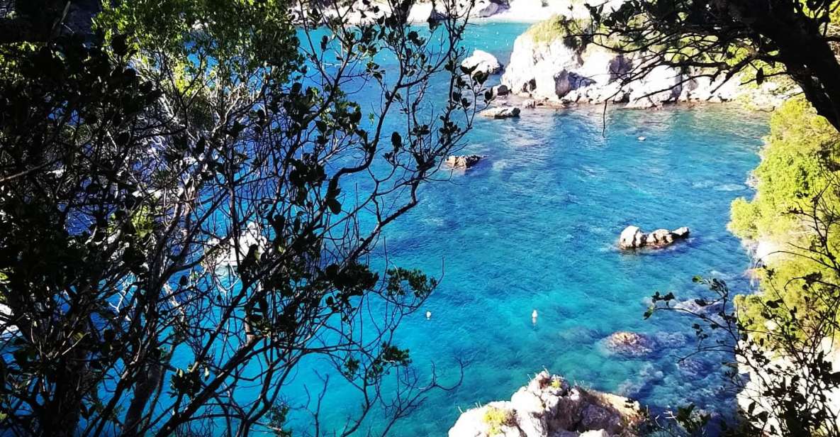 Corfu: Hiking in Olive Groves,Village,Sunset,with Swim Stop - Tour Highlights