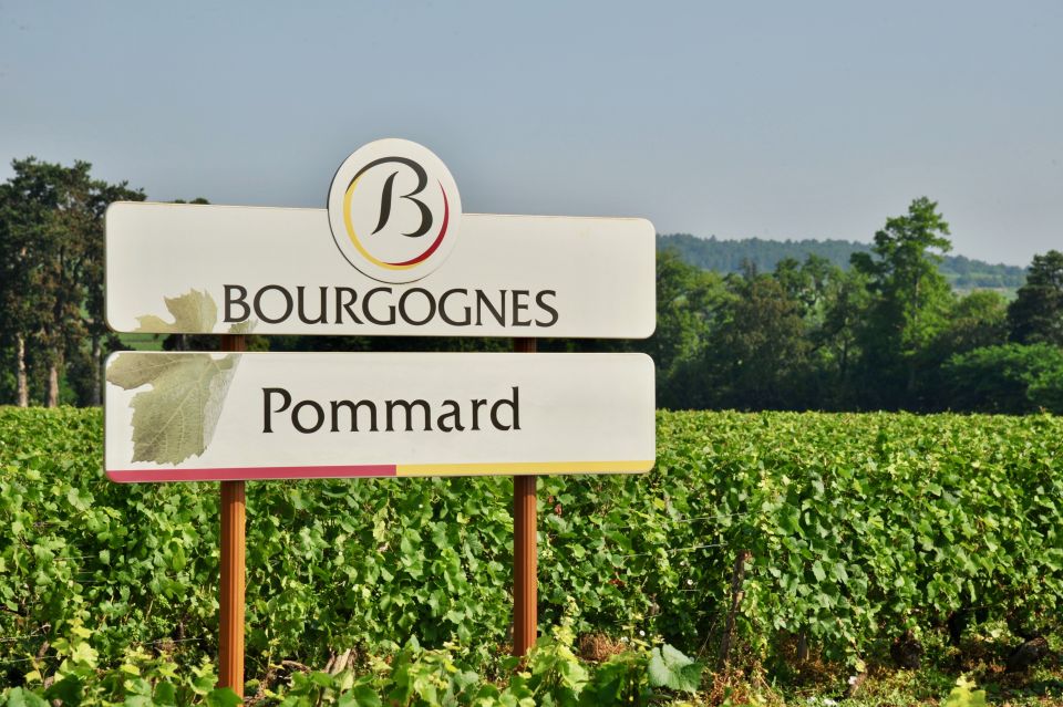 Côte De Beaune Private Local Wineries and Wine Tasting Tour - Activity Details