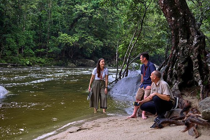 Daintree Rainforest and Cape Tribulation Day Tour From Cairns