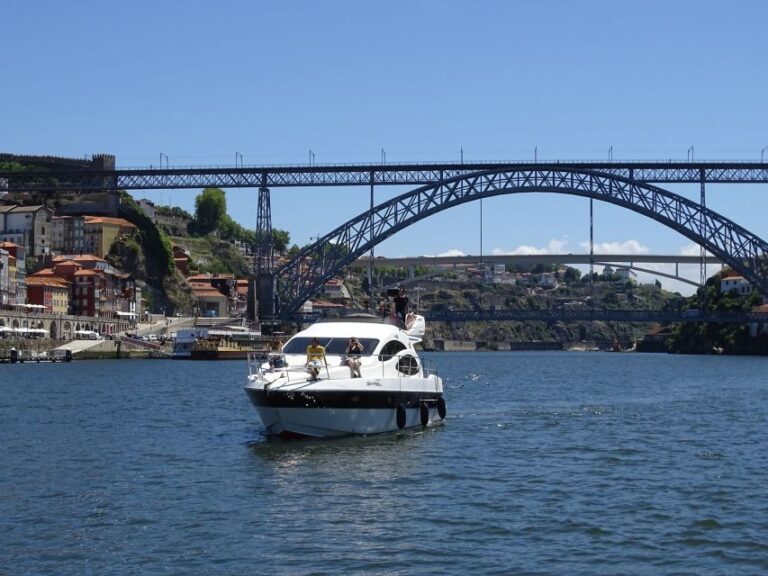 Douro River: Party Boat Tour on a Yacht